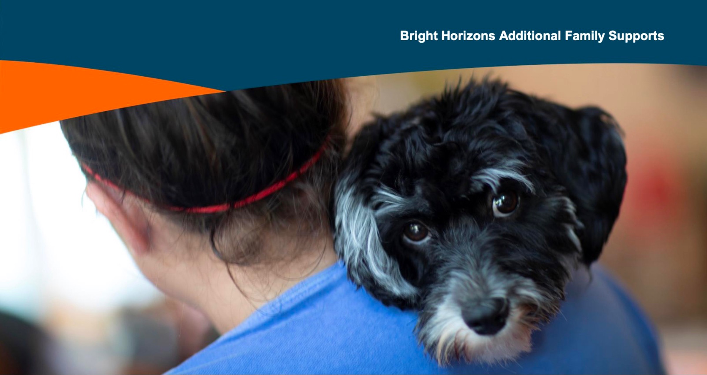 Exclusive Pet Care Resources Through BrightHorizons – Human Resources |  George Mason University
